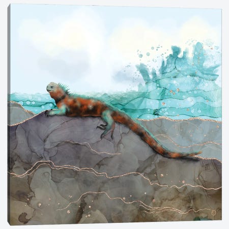 Marine Iguana On The Seashore Canvas Print #AEE27} by Andreea Dumez Canvas Print