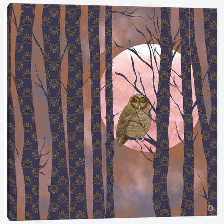 Nightly Owlish Wisdom Canvas Print #AEE29} by Andreea Dumez Canvas Wall Art