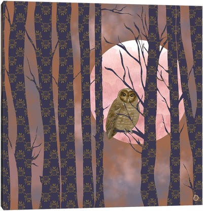 Nightly Owlish Wisdom Canvas Art Print - Andreea Dumez