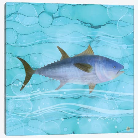 Atlantic Bluefin Tuna Fish Canvas Print #AEE2} by Andreea Dumez Canvas Wall Art
