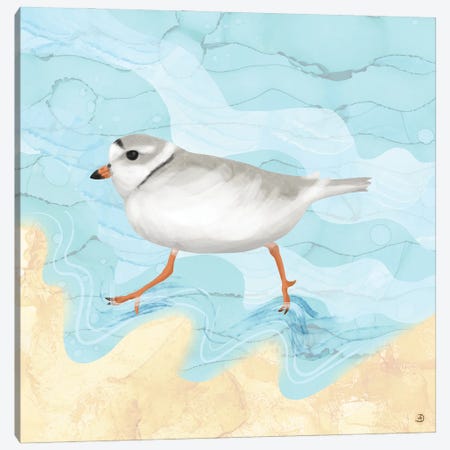 Piping Plover Running On The Beach Canvas Print #AEE35} by Andreea Dumez Canvas Wall Art