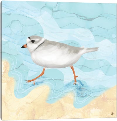 Piping Plover Running On The Beach Canvas Art Print - Plovers
