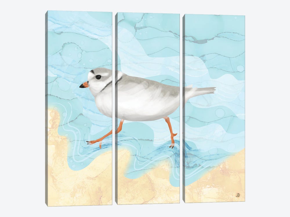 Piping Plover Running On The Beach by Andreea Dumez 3-piece Canvas Wall Art