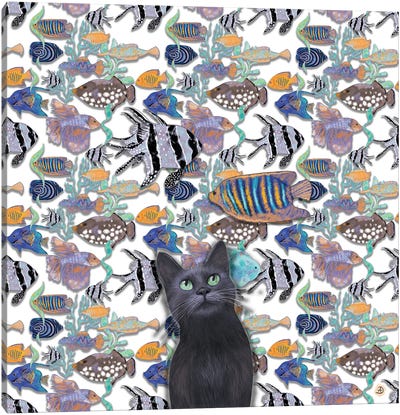 A Black Cat Looking At An Exotic Fish Tank Canvas Art Print - Andreea Dumez
