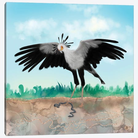 The Secretary Bird And The Snake - African Wildlife Creatures Canvas Print #AEE55} by Andreea Dumez Canvas Art
