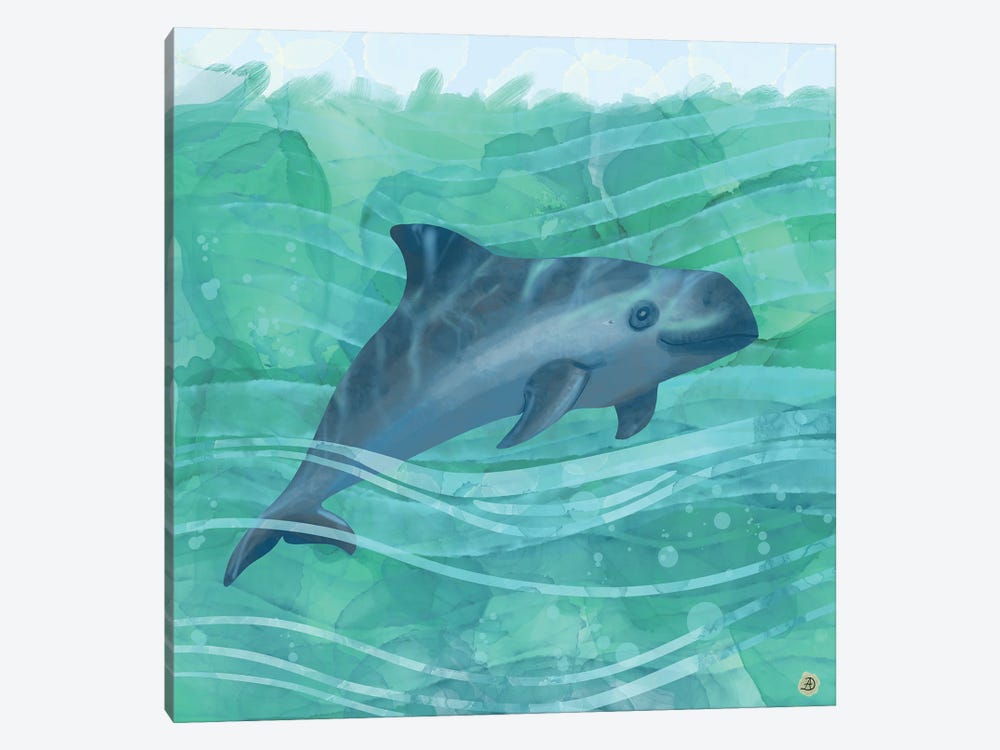 The Vaquita Porpoise Swimming In Emerald Waters by Andreea Dumez 1-piece Canvas Print