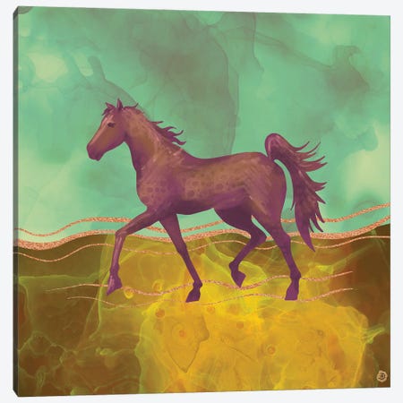 Wild Horse In The Burning Desert Canvas Print #AEE58} by Andreea Dumez Canvas Art Print