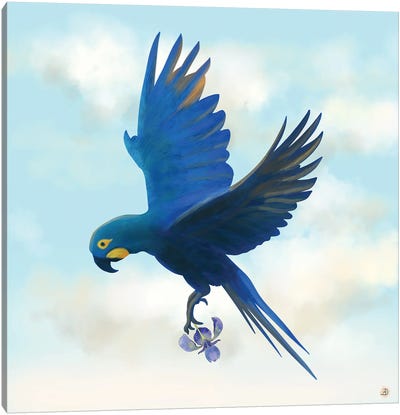 Lear's Macaw Bird Flying With An Orchid Flower Canvas Art Print - Wildlife Conservation Art