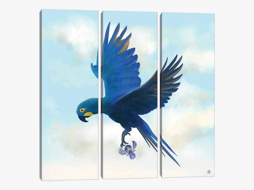 Lear's Macaw Bird Flying With An Orchid Flower by Andreea Dumez 3-piece Canvas Art