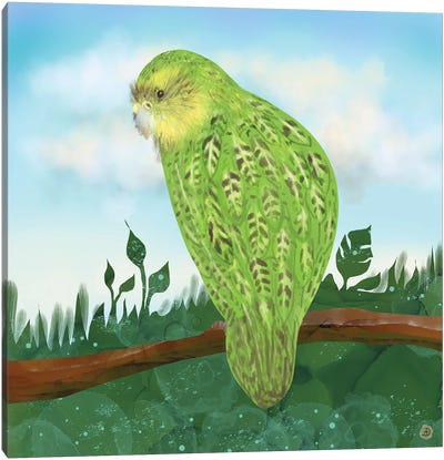 Kakapo Exotic Bird On A Branch Canvas Art Print - Animal Rights Art