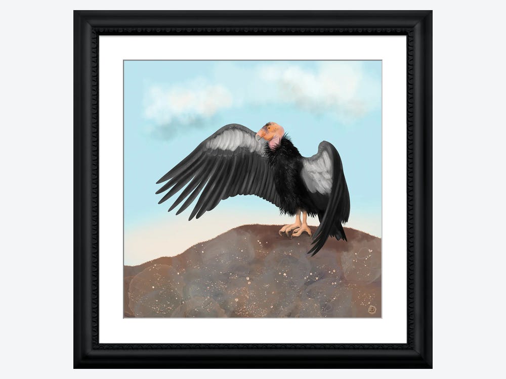 Condor Touch Up Paint - Matte Black