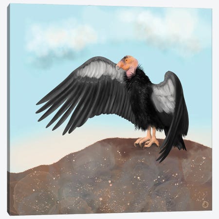 California Condor Spreading Its Wings Canvas Print #AEE64} by Andreea Dumez Art Print
