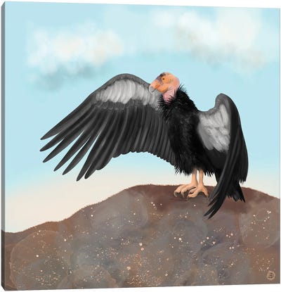 California Condor Spreading Its Wings Canvas Art Print - Wildlife Conservation Art