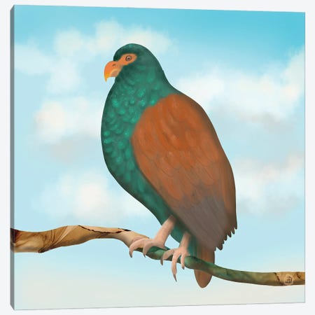 The Tooth Billed Pigeon (Little Dodo) Canvas Print #AEE65} by Andreea Dumez Canvas Print