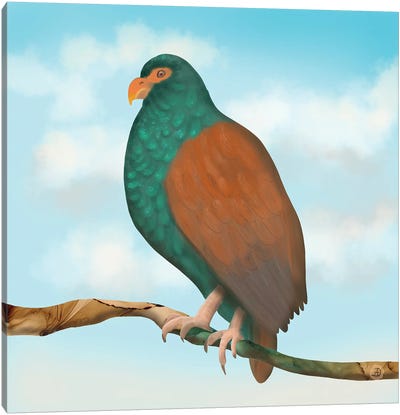 The Tooth Billed Pigeon (Little Dodo) Canvas Art Print - Wildlife Conservation Art