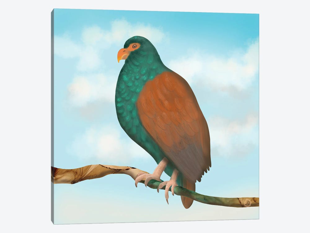 The Tooth Billed Pigeon (Little Dodo) by Andreea Dumez 1-piece Canvas Print