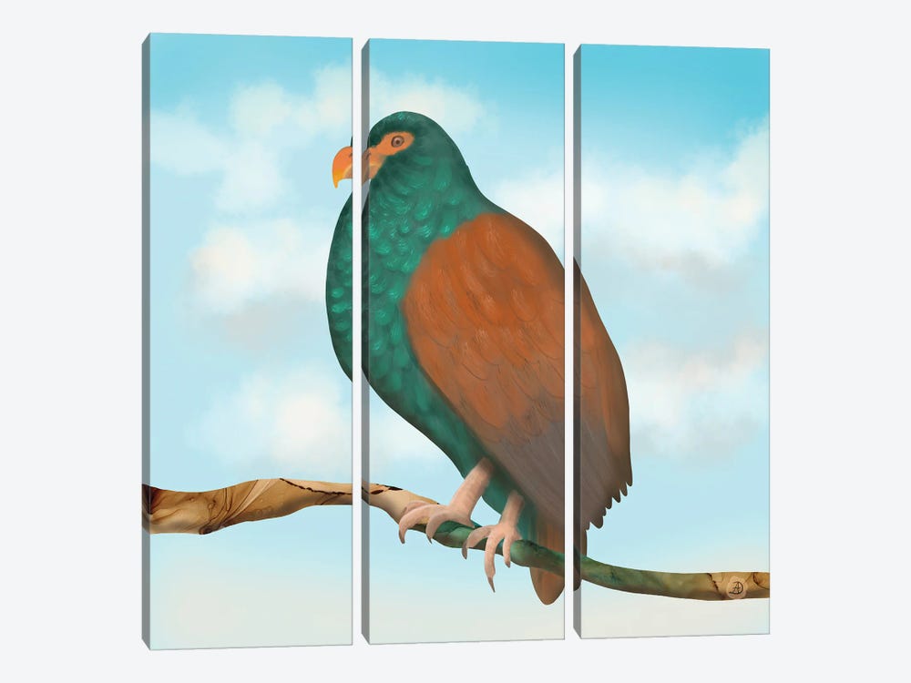 The Tooth Billed Pigeon (Little Dodo) by Andreea Dumez 3-piece Canvas Print