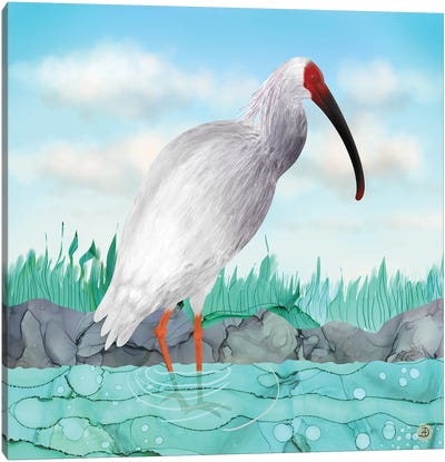 Crested Ibis - Japanese Rare Bird Canvas Art Print - Wildlife Conservation Art