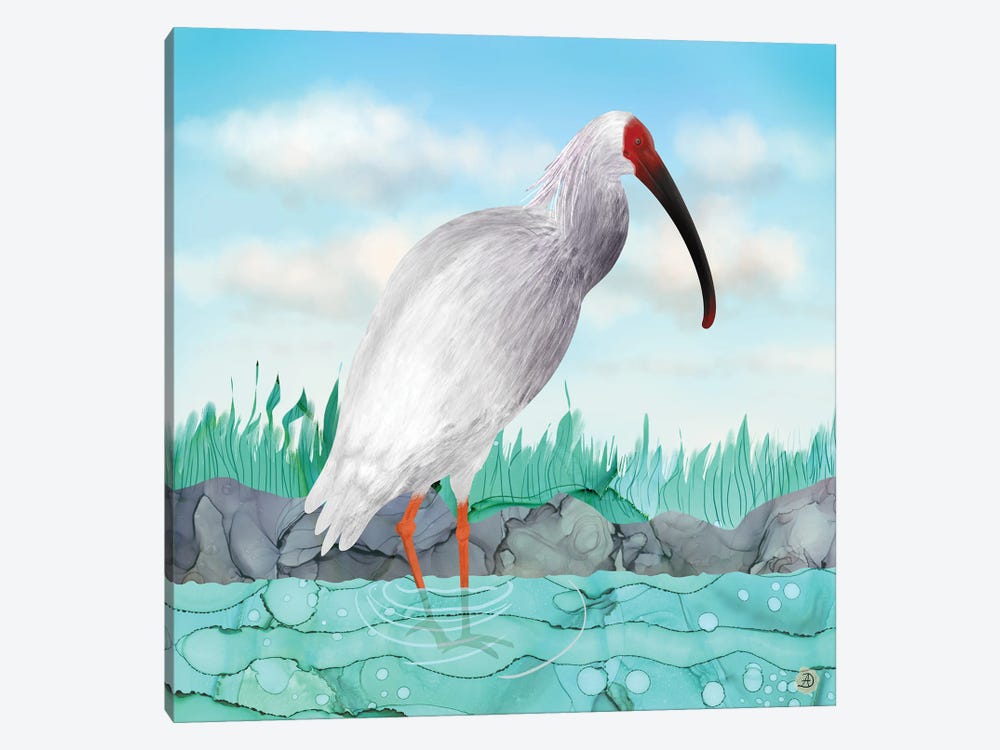 Crested Ibis - Japanese Rare Bird by Andreea Dumez 1-piece Canvas Wall Art