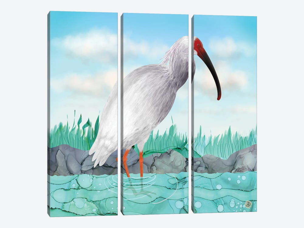Crested Ibis - Japanese Rare Bird by Andreea Dumez 3-piece Canvas Art