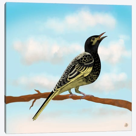 Regent Honeyeater - Australian Rare Bird Canvas Print #AEE67} by Andreea Dumez Canvas Art Print