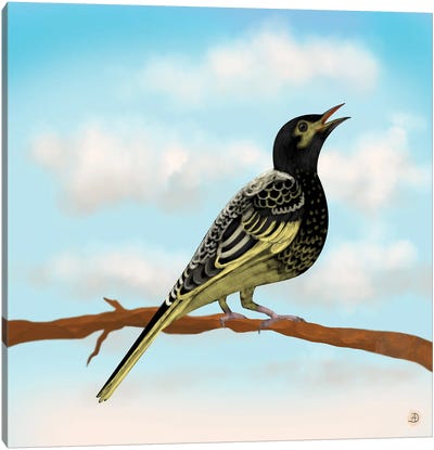 Regent Honeyeater - Australian Rare Bird Canvas Art Print - Andreea Dumez