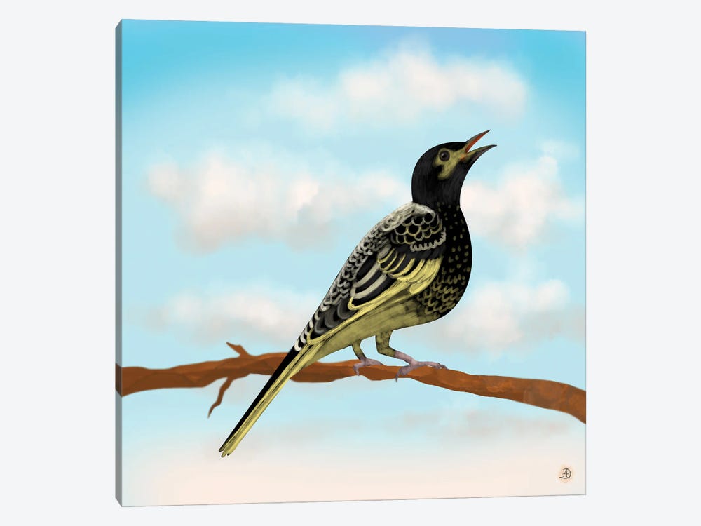 Regent Honeyeater - Australian Rare Bird by Andreea Dumez 1-piece Canvas Art Print