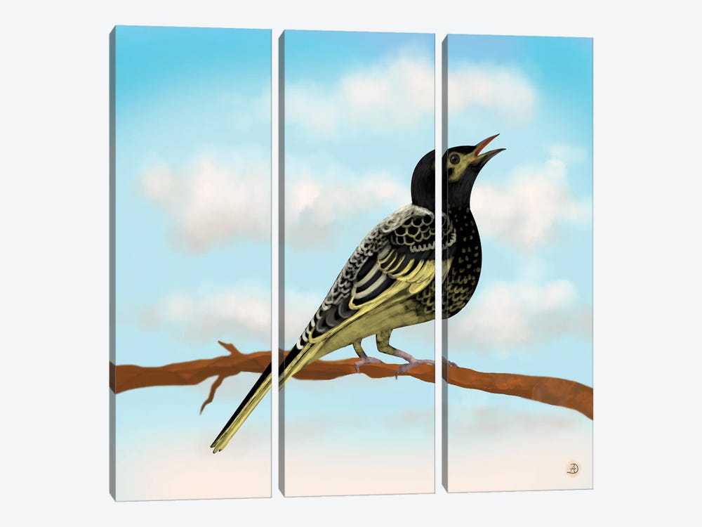 Regent Honeyeater - Australian Rare Bird by Andreea Dumez 3-piece Canvas Print