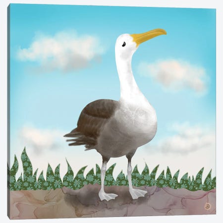 Galapagos Waved Albatross Canvas Print #AEE69} by Andreea Dumez Canvas Artwork