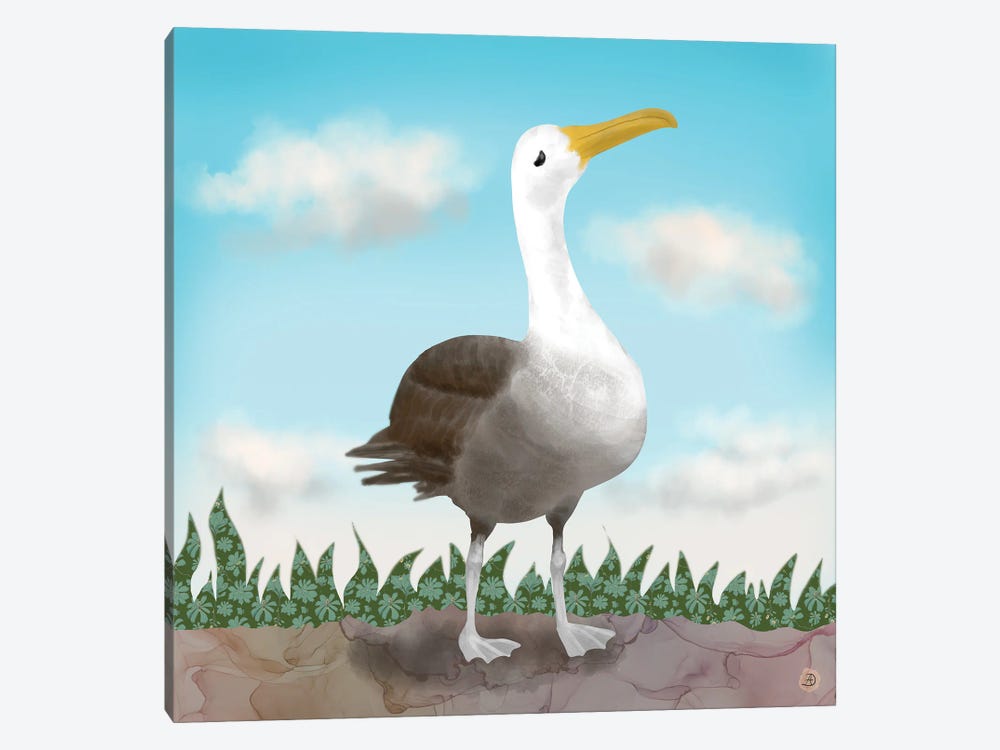 Galapagos Waved Albatross by Andreea Dumez 1-piece Art Print