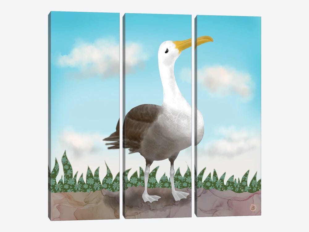 Galapagos Waved Albatross by Andreea Dumez 3-piece Canvas Art Print