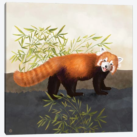The Red Panda And The Bamboo Canvas Print #AEE75} by Andreea Dumez Canvas Art