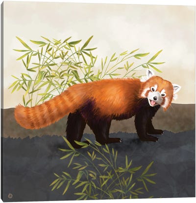 The Red Panda And The Bamboo Canvas Art Print - Red Panda Art