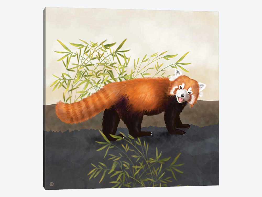 The Red Panda And The Bamboo by Andreea Dumez 1-piece Canvas Wall Art