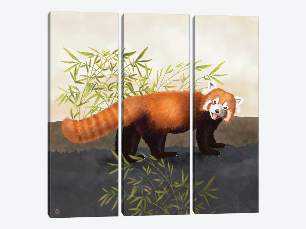The Red Panda And The Bamboo by Andreea Dumez 3-piece Canvas Artwork
