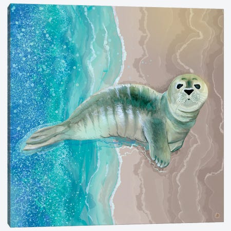 Gray Seal Pup - Where The Ocean Meets The Sand Canvas Print #AEE77} by Andreea Dumez Canvas Wall Art