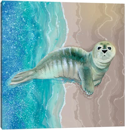 Gray Seal Pup - Where The Ocean Meets The Sand Canvas Art Print - Seal Art