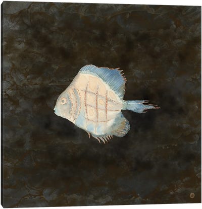 Australian Exotic Fish In Vintage Earth Tones Canvas Art Print - Wildlife Conservation Art