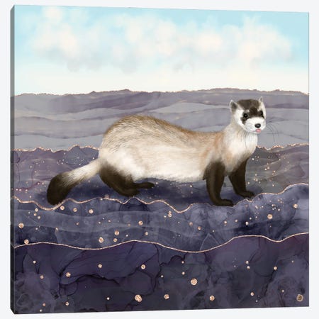 The Black Footed Ferret Canvas Print #AEE80} by Andreea Dumez Canvas Artwork