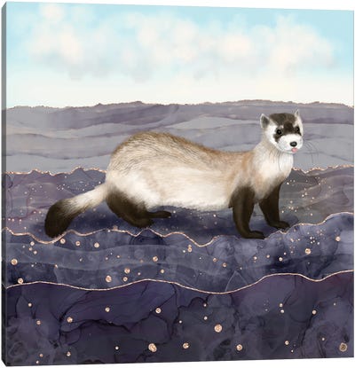 The Black Footed Ferret Canvas Art Print - Wildlife Conservation Art
