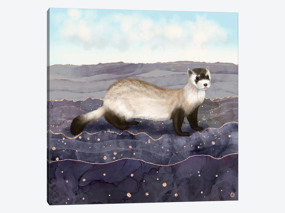The Black Footed Ferret by Andreea Dumez 1-piece Canvas Artwork