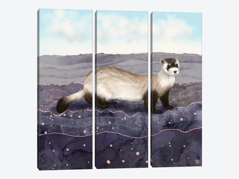 The Black Footed Ferret by Andreea Dumez 3-piece Canvas Art