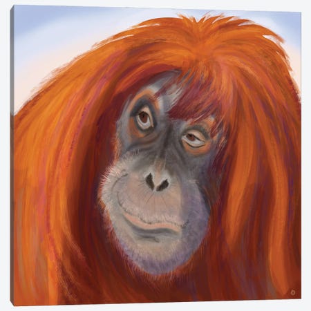 Seriously Red-Haired Sumatran Orangutan Canvas Print #AEE82} by Andreea Dumez Canvas Wall Art