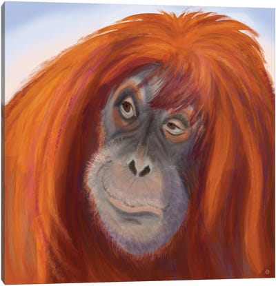 Seriously Red-Haired Sumatran Orangutan Canvas Art Print - Animal Rights Art