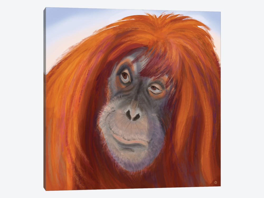 Seriously Red-Haired Sumatran Orangutan by Andreea Dumez 1-piece Canvas Artwork
