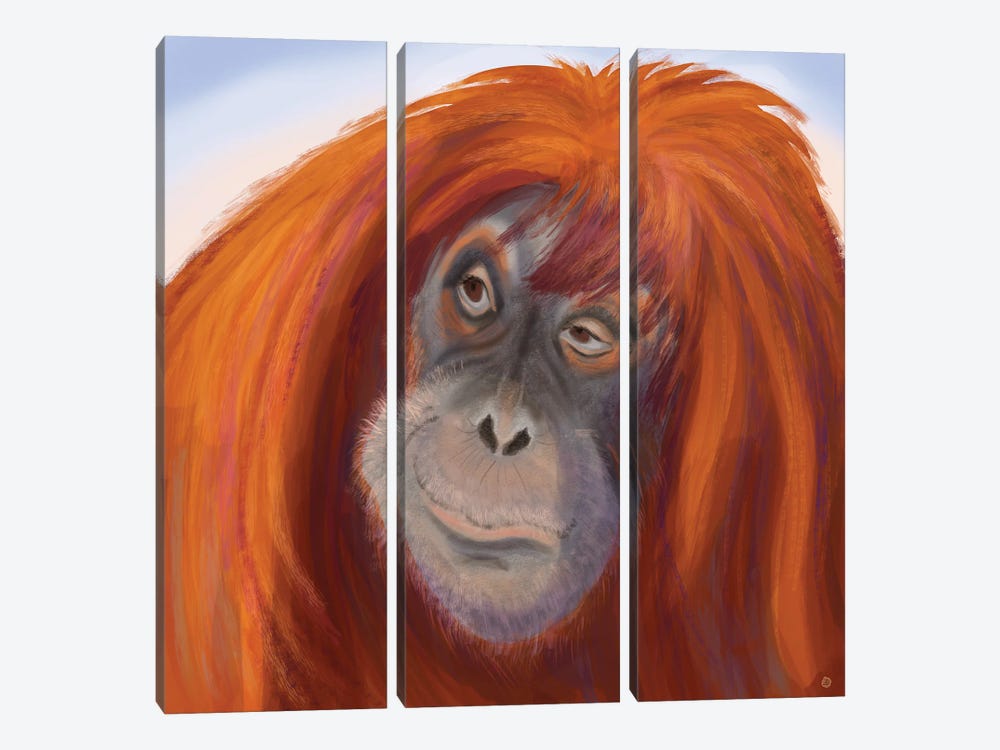 Seriously Red-Haired Sumatran Orangutan by Andreea Dumez 3-piece Canvas Art