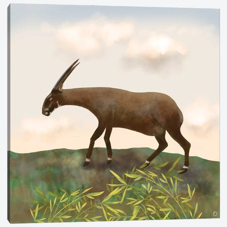 Saola - The Asian Unicorn - Rarest Animal On Earth Canvas Print #AEE83} by Andreea Dumez Canvas Wall Art