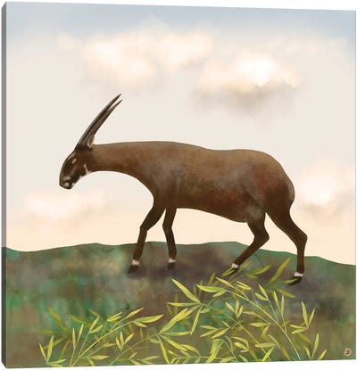 Saola - The Asian Unicorn - Rarest Animal On Earth Canvas Art Print - Wildlife Conservation Art