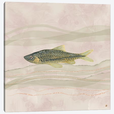 Carp Fish Swimming In Cloudy Water Canvas Print #AEE85} by Andreea Dumez Canvas Print
