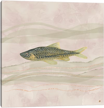Carp Fish Swimming In Cloudy Water Canvas Art Print - Andreea Dumez